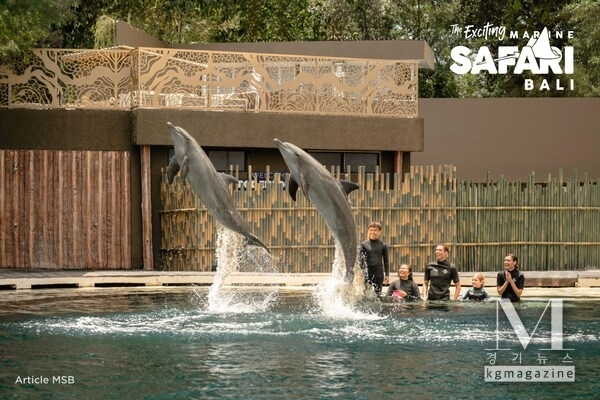 Marine Safari Bali: Adventure & Unforgettable Experiences